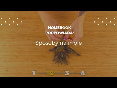 Skuteczne sposoby na mole #homebookpodpowiada