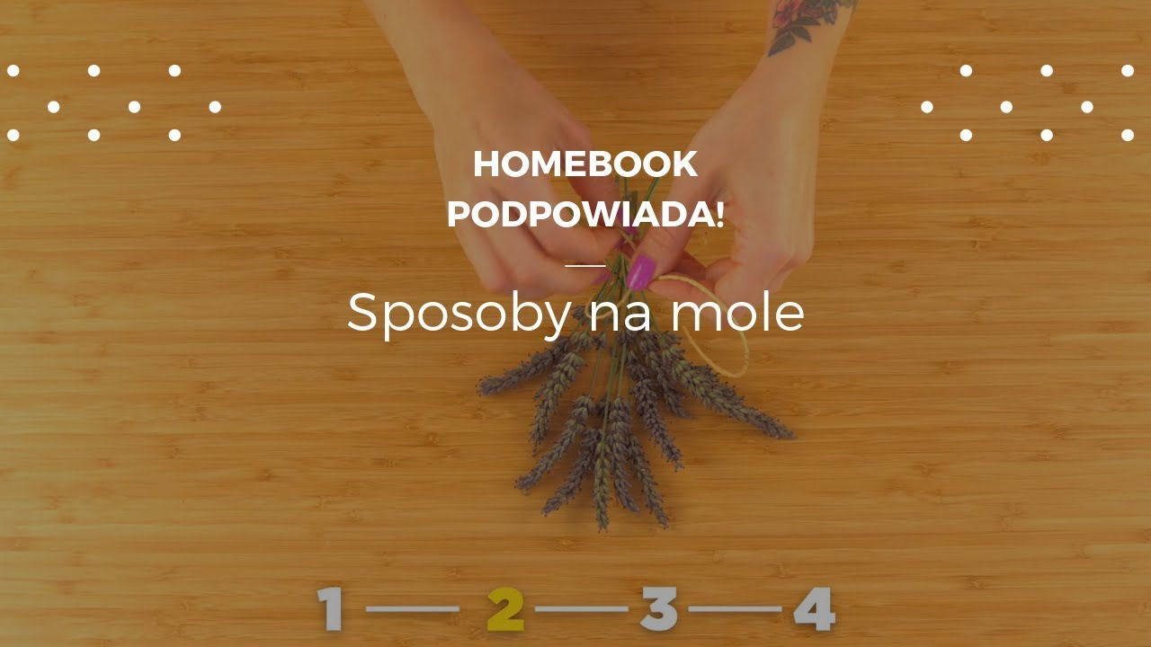 Skuteczne sposoby na mole #homebookpodpowiada