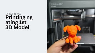 MODULE 3: 3D Printing #drshiela3dprints 