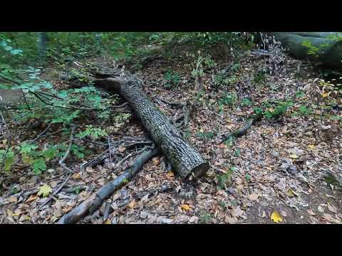 V15 Circuit Vf. Domogled   Ep.1 DN67D km5 - Crucea alba