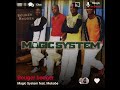 Magic System Feat Mokobe Bouger Bouger Version Skyrock