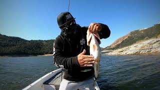 Duo Realis Nomase Wakasagi 7/6/20