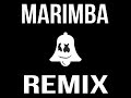 Alone Marimba Remix Ringtone Of Marshmello