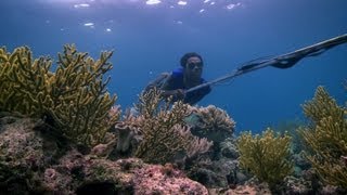 Download lagu Bajau people of the Banda Sea - Rise of the Continents - Episode 2 Preview - BBC mp3