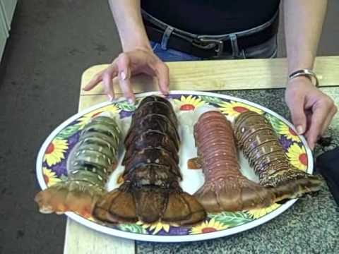 download lagu mp3 mp4 Different Types Of Lobster Tails, download lagu Different Types Of Lobster Tails gratis, unduh video klip Different Types Of Lobster Tails