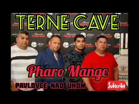 PAVLOVCE TERNE CAVE 33   PHARO MANGE