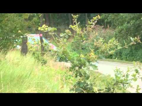 21 Rajd Rzeszowski 2012 Kacper Wróblewski/Beniamin Korzeniowski Honda Civic Type r nr: 147