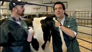 RMR:Rick at University of Guelph Veterinary College