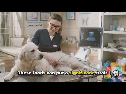 Foods That Pose a Danger to Dogs and Cats: A Comprehensive Guide