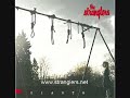 Freedom Is Insane- The Stranglers