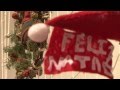 Alunos E Pais Do CE De Frazão Fizeram 300 Coroas De Natal