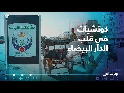 كوتشيات في البيضاء..إلى بغاو يحيدو الكراول يديرو لينا فين نخدمو