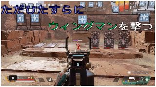 ウィングマンを撃つだけ