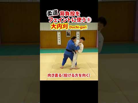 【背負投をフェイントに使う③】大内刈で投げる！　#柔道 #judo #投技 #立技 #フェイント #背負投 #大内刈 #shorts