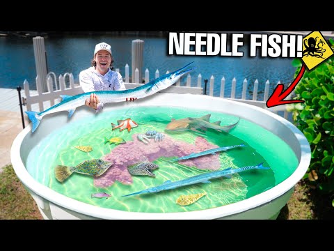 Catching NEEDLE FISH For My Backyard SALTWATER POND!! (+ unexpected  catch...)