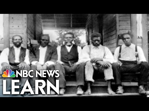 The Colored Farmers' Alliance