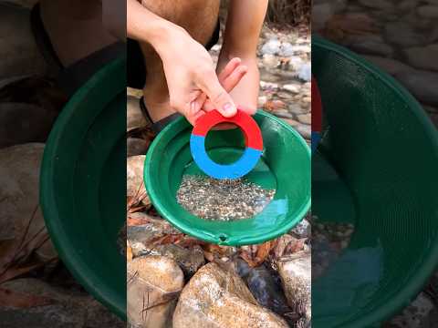 MAGNET FISHING vs Metal Detecting for Finding Gold!