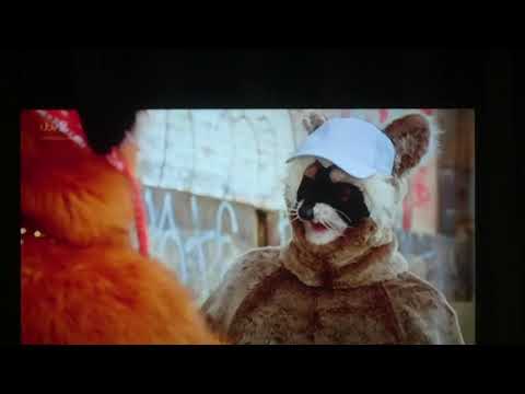 The urban fox is back 😂😂😂