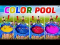 Making Biggest Multi Colour Pool Holi Special Telugu Experiments