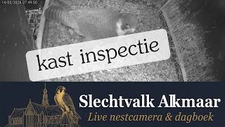 Kastinspectie door vrouw