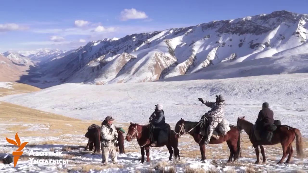 Чылгычыныын сумези. Чылгычылар групазы. Чылгычынын сеткили. Анчылык. Мергенчи