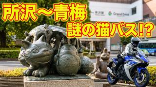 ねこバス～トトロ？？？～猫神様ｘ３｜所沢駅東口・糀谷八幡宮・青梅市 住吉神社｜