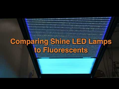 SHINE · kits de lámparas LED