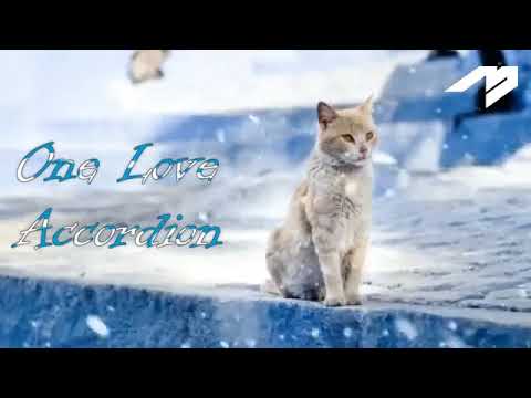 Arozin Sabyh   One Love Accordéon Single Style Officiel 2018