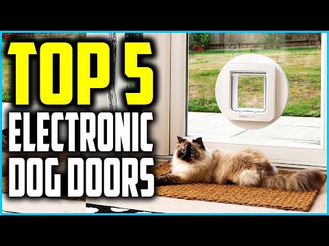 ✅Top 5 Best Electronic Dog Doors 2024 Reviews