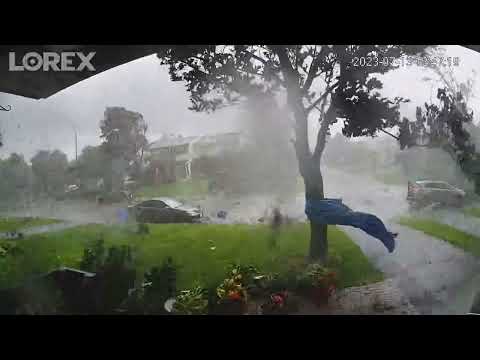 Bins catapulted and trees uprooted as tornado rips through Ontario