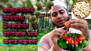 ভিডিও-১৫