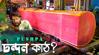 PUSHPA ! অবাক কান্ড - মেশিনে গাছ দিতেই বেড়িয়ে এলো পুস্পার চন্দন কাঠ? (2022) ! Sawmill Wood Cutting