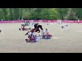 Jument 5 ans pour minimum cso amateur
