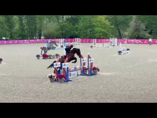 Jument 5 ans pour minimum cso amateur 