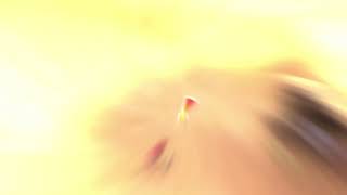 二ノ国