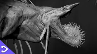 The DISTURBING Monsters You Didn&#39;t See On SKULL ISLAND! - MonsterVerse