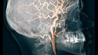 Are WE REAL? --- Reality, Illusions & Digital Universe ---- God in a Nutshell (part I of III)