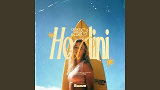 Houdini