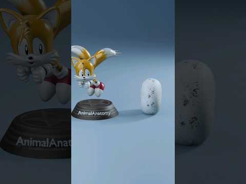 Frog egg vs Whale egg 😯