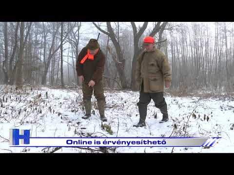 Online is érvényesíthető – ZTV Híradó 2021-02-10