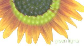 The Road To Nowhere | Alex Monk | Green Lights