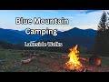 Blue Mountain Camping | Dog Walks, & Lakeside Views