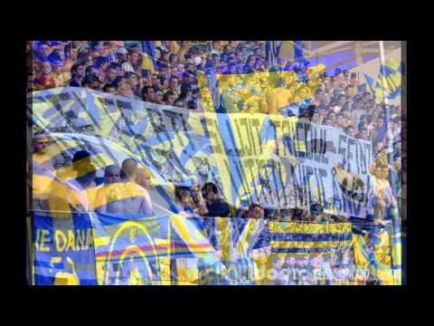 The best of Lupii Galbeni by sportonlineph