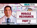 Musculoskeletal System Muscle Mechanics Multiple Motor Unit Summation