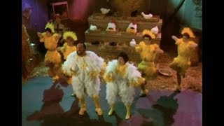 Ray Stevens - &quot;Ain&#39;t Nobody Here But Us Chickens&quot;