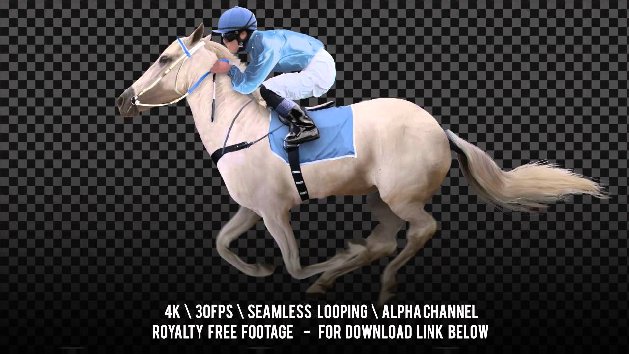 Jockey riding a white horse runs gallop. Isolated and cyclic. Can be used as a silhouette.