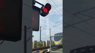 【台湾】【剩下7天】帰国まであと7日#台湾 #台湾留学 #shorts