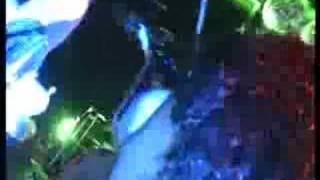 Tüngekyss, part 5: I Was Made For Lovin' You