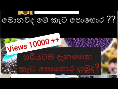 keta pohora - identification of fertilizer ( nil keta , dam keta , osmacot )