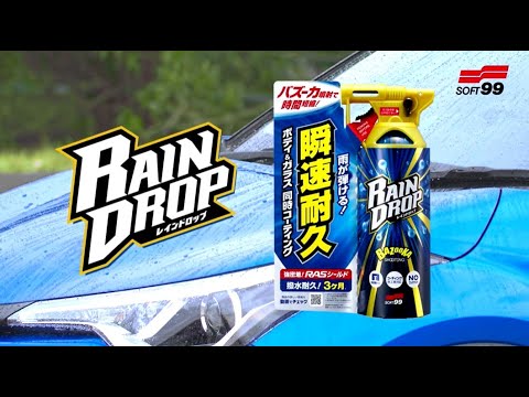 00526 撥水カーコーティング レインドロップ 自動車塗装面の保護・艶